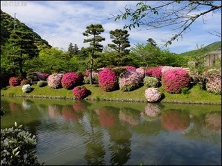 s-DSCF2442.jpg