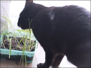 s-DSCF2477.jpg