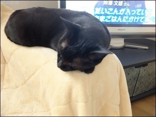 s-DSCF2478.jpg
