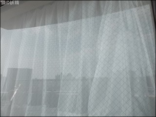 s-DSCF2524.jpg