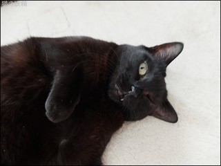 s-DSCF2527.jpg