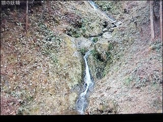 s-DSCF2578.jpg