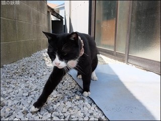 s-DSCF2591.jpg