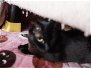 s-DSCF2643.jpg