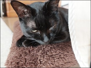 s-DSCF2648.jpg