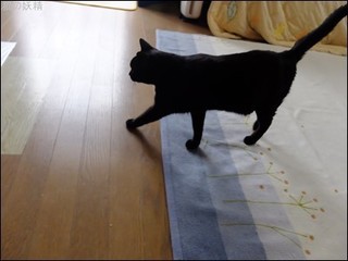 s-DSCF2652.jpg