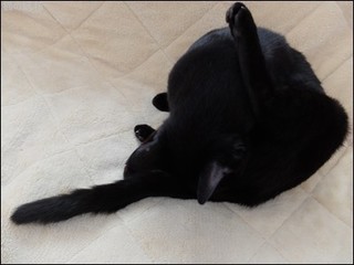 s-DSCF2675.jpg