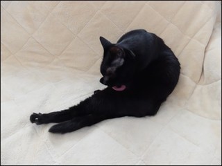 s-DSCF2677.jpg