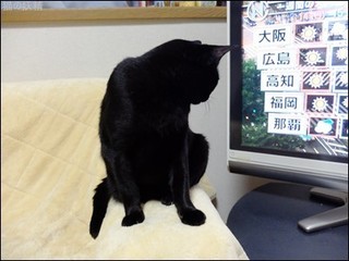 s-DSCF2686.jpg