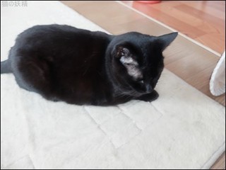 s-DSCF2688.jpg