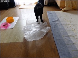 s-DSCF2703.jpg