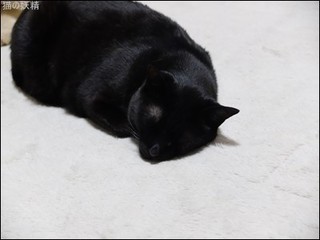 s-DSCF2706.jpg