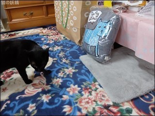 s-DSCF2710.jpg