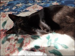 s-DSCF2734.jpg