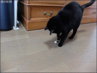 s-DSCF2776.jpg