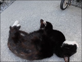 s-DSCF2776.jpg