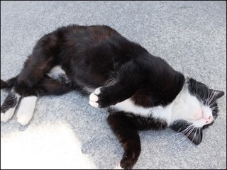 s-DSCF2778.jpg