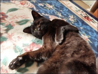 s-DSCF2798.jpg