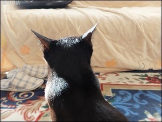 s-DSCF2805.jpg