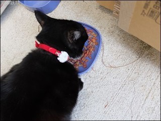 s-DSCF2807.jpg