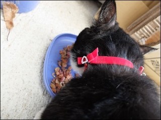 s-DSCF2808.jpg