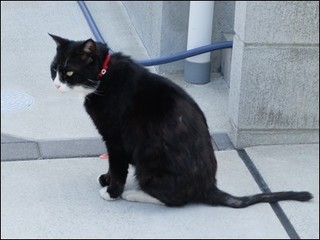 s-DSCF2813.jpg