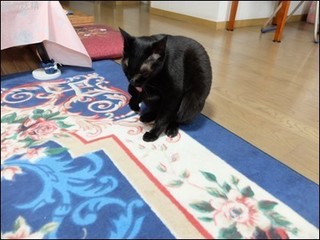 s-DSCF2825.jpg