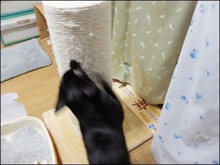 s-DSCF2865.jpg