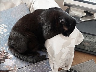 s-DSCF2873.jpg