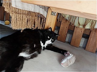 s-DSCF2878.jpg