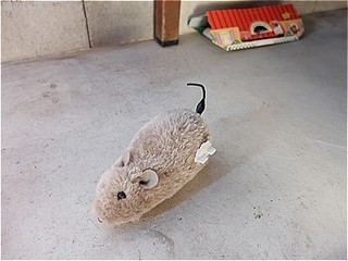 s-DSCF2885.jpg