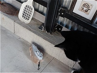 s-DSCF2887.jpg