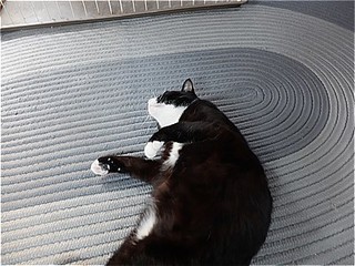 s-DSCF2900.jpg