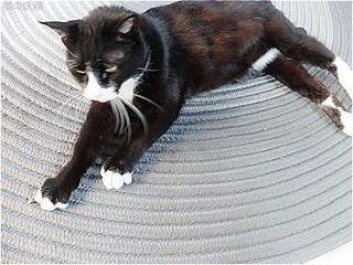 s-DSCF2905.jpg