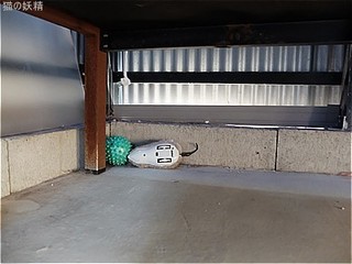 s-DSCF2912.jpg