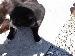 s-DSCF2919.jpg