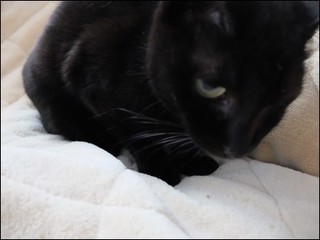 s-DSCF2925.jpg
