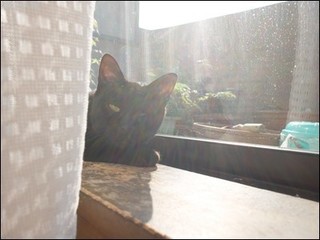 s-DSCF2930.jpg