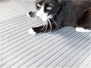 s-DSCF2946.jpg