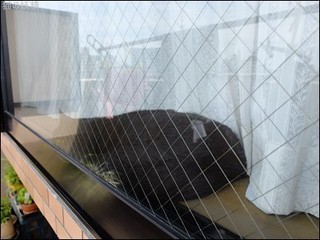 s-DSCF3005.jpg