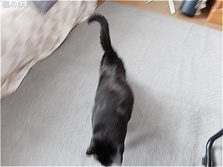 s-DSCF3018.jpg