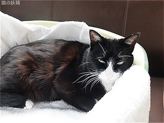 s-DSCF3038.jpg
