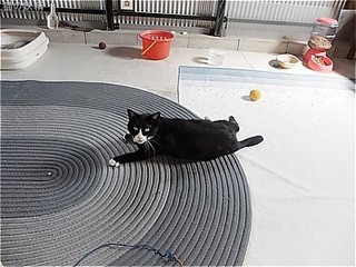 s-DSCF3059.jpg