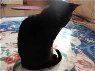 s-DSCF3060.jpg