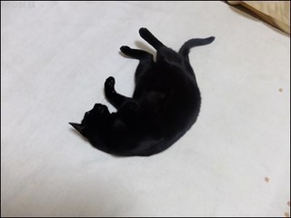 s-DSCF3067.jpg