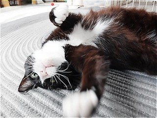 s-DSCF3074.jpg