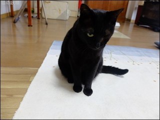 s-DSCF3085.jpg
