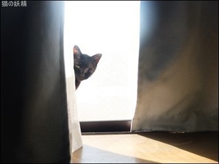 s-DSCF3085.jpg
