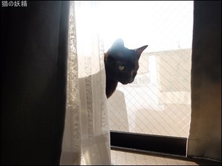 s-DSCF3087.jpg