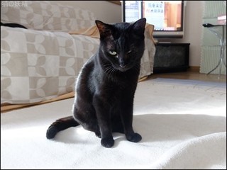 s-DSCF3091.jpg